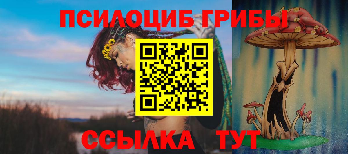 Канаш  Псилоцибиновые грибы Psilocybine cubensis  Вход с VPN 